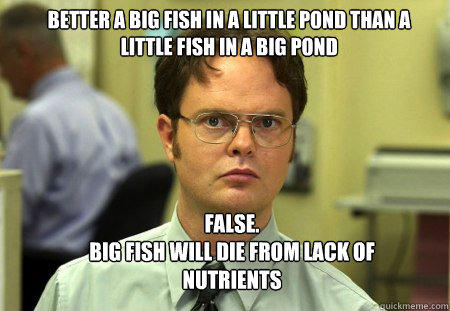 Dwight